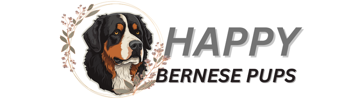 Happy Bernese Pups